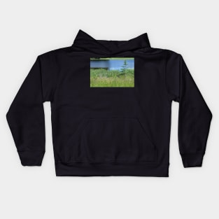 Pond and Tree Landscape, Water and Grass Kids Hoodie